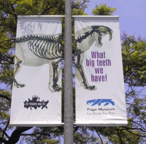 Lamppost Banner